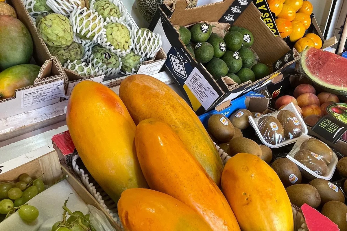 386258249_331309049285487_8086518728607219539_n