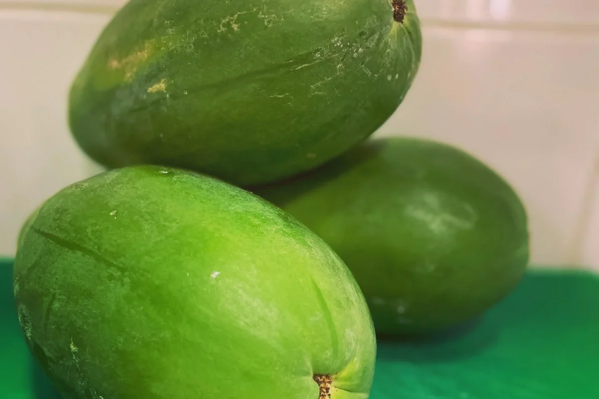 393167808_2133628460302222_2816969943455538047_n