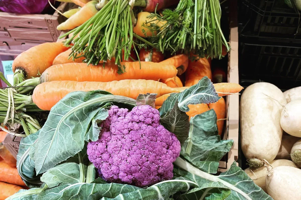 401338933_1297643767587762_6498615122773201929_n